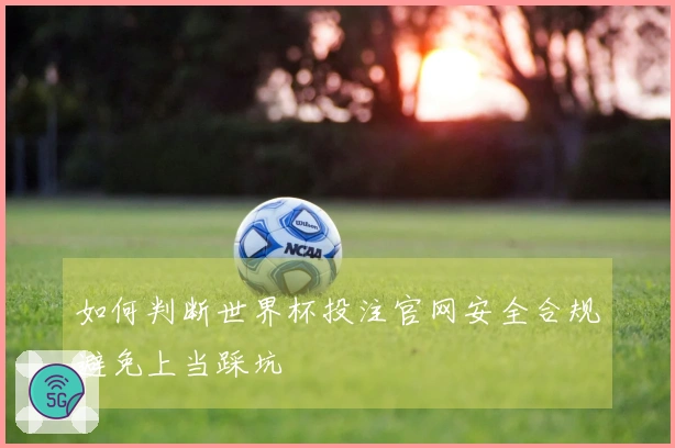 如何判断世界杯投注官网安全合规避免上当踩坑