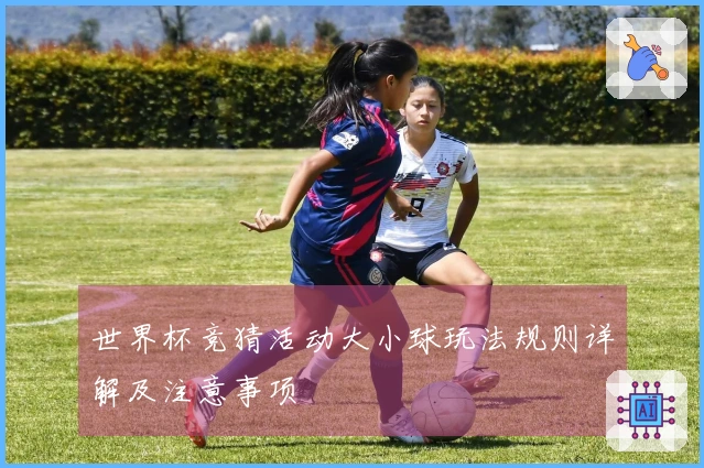 世界杯竞猜活动大小球玩法规则详解及注意事项