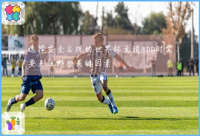 开云体育资讯图片