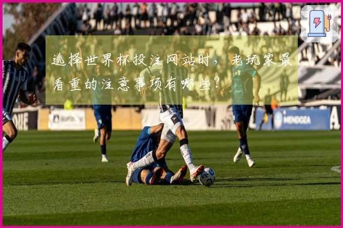 选择世界杯投注网站时，老玩家最看重的注意事项有哪些？