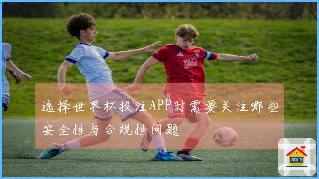 选择世界杯投注APP时需要关注哪些安全性与合规性问题